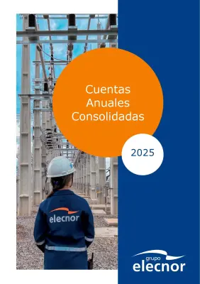 Picture of 2025 Annual Accounts