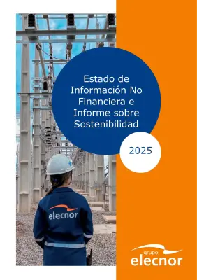 Picture of Non-Financial Information Statement and Sustainability Information