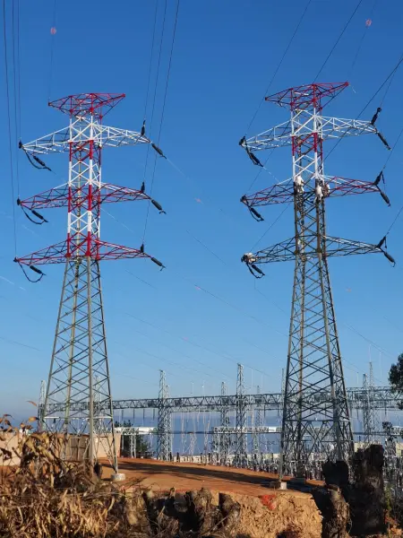 Foto de 162-caste-chile.webp