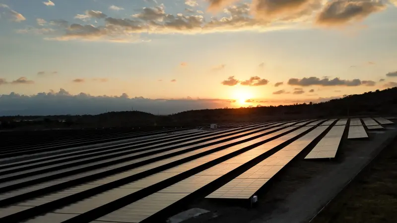 Picture of 77-parque-solar-fotovoltaico-los-jovillos-rep.webp